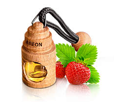 Car and Home Air Fresheners - Fresco